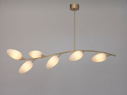 Sàlice Chandelier