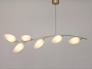 Sàlice Chandelier